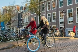 Amsterdam: Tour della città in bicicletta in tedesco o in inglese (privato)