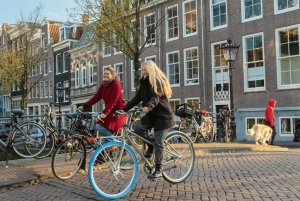 Amsterdã: Passeio de bicicleta pelo centro da cidade em alemão ou inglês (particular)