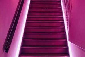 Amsterdam: Instagram Scenic Photo Spots & Moco Museum Tour