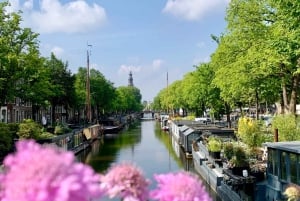 Amsterdam : Visite guidée du quartier Jordaan avec un guide allemand