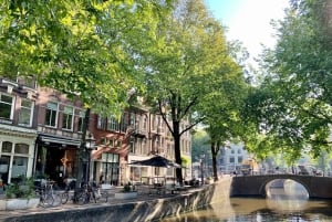 Amsterdam : Visite guidée du quartier Jordaan avec un guide allemand