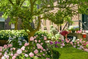 Amsterdam : Visite guidée du quartier Jordaan avec un guide allemand