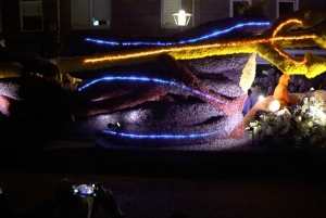 Амстердам: экскурсия в Кекенхоф и на Парад освещенных цветов