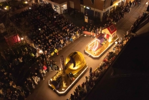 Амстердам: экскурсия в Кекенхоф и на Парад освещенных цветов