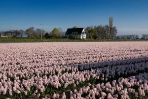 Амстердам: экскурсия в Кекенхоф и на Парад освещенных цветов