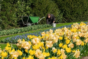 Амстердам: экскурсия в Кекенхоф и на Парад освещенных цветов