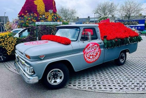 Amsterdam: Keukenhof och tulpanfält Tour Incl Hotel Pick Up