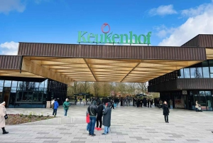 Amsterdam: Keukenhof och tulpanfält Tour Incl Hotel Pick Up