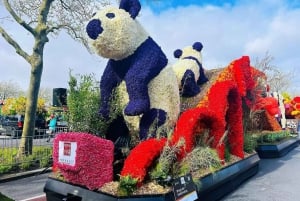 Amsterdam: Keukenhof och tulpanfält Tour Incl Hotel Pick Up