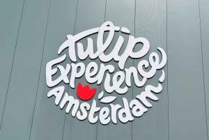 Amsterdam: Keukenhof och tulpanfält Tour Incl Hotel Pick Up