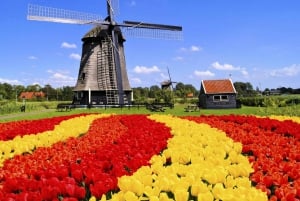 Amsterdam: Keukenhof and Tulip Fields Private Day Trip