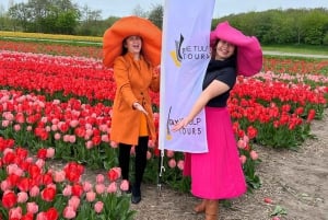 Amsterdam: Keukenhof and Tulip Fields Private Day Trip