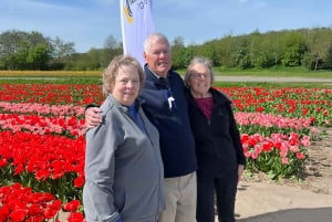 Amsterdam: Keukenhof and Tulip Fields Private Day Trip