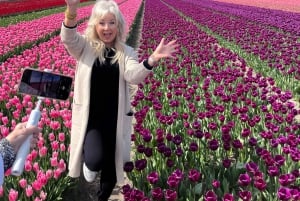 Amsterdam: Keukenhof and Tulip Fields Private Day Trip