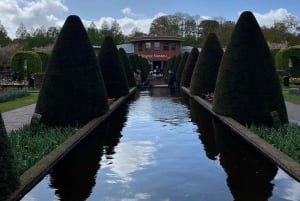 Amsterdam: Keukenhof and Tulip Fields Private Day Trip