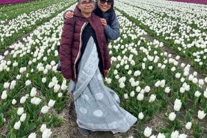 Amsterdam: Keukenhof and Tulip Fields Private Day Trip