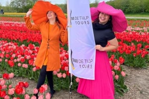 Amsterdam: Keukenhof and Tulip Fields Private Day Trip