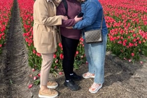 Amsterdam: Keukenhof and Tulip Fields Private Day Trip