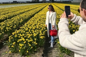 Amsterdam: Keukenhof and Tulip Fields Private Day Trip