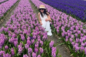 Amsterdam: Keukenhof and Tulip Fields Private Day Trip