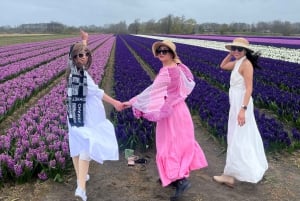 Amsterdam: Keukenhof and Tulip Fields Private Day Trip