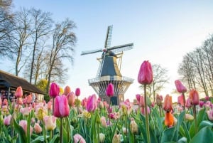 Amsterdam: Keukenhof and Zaanse Schans Live Guided Day Tour