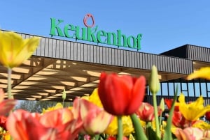 Amsterdam: Keukenhof and Zaanse Schans Live Guided Day Tour