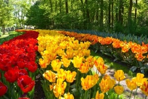 Amsterdam: Keukenhof and Zaanse Schans Live Guided Day Tour