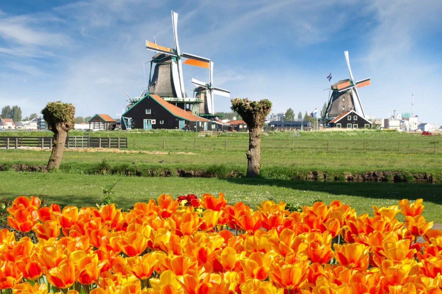 Amsterdam : Excursion d'une journée à Keukenhof et aux moulins de Zaanse Schans