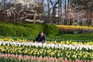 Amsterdam: Keukenhof and Zaanse Schans Windmills Day Trip