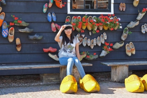 Amsterdam : Keukenhof et la campagne hollandaise en petit groupe