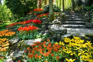 Amsterdam: Keukenhof & Hollands Platteland Tour in kleine groep