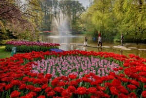 Amesterdão: Entrada em Keukenhof e transporte de ida e volta