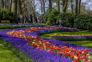 Amesterdão: Entrada em Keukenhof e transporte de ida e volta