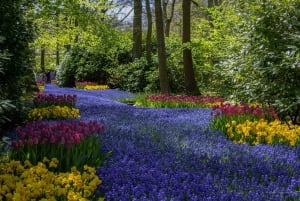 Amesterdão: Entrada em Keukenhof e transporte de ida e volta