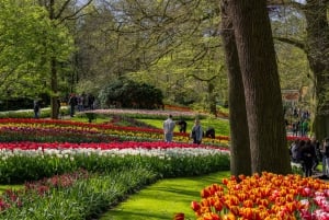 Amesterdão: Entrada em Keukenhof e transporte de ida e volta