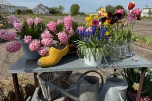 Амстердам: экскурсия по Кёкенхофу и цветочной ферме, включая билеты