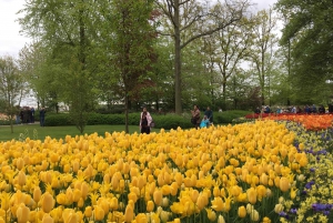 Amsterdam: Keukenhof - Flowers Field - Tulip Experience