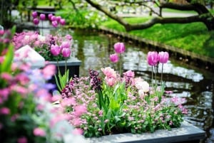 Amsterdam: Keukenhof Gardens Guided Tour Spanish and English