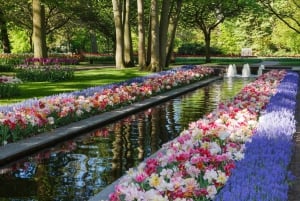 Amsterdam: Keukenhof Gardens Guided Tour Spanish and English