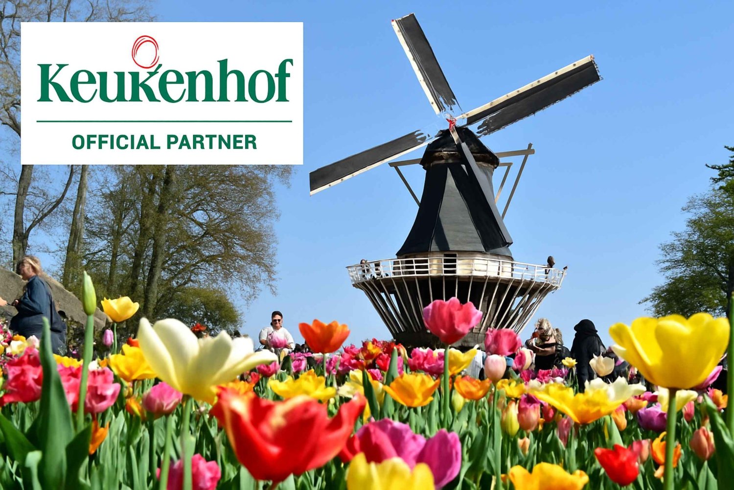 Amsterdam: Keukenhof Gardens Half Day Guided Tour
