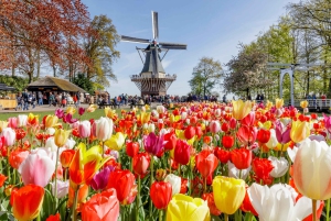 Amsterdam: półdniowa wycieczka z przewodnikiem do ogrodów Keukenhof