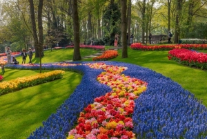 Amsterdam: Keukenhof-hagen og tulipanmarkene – privat tur