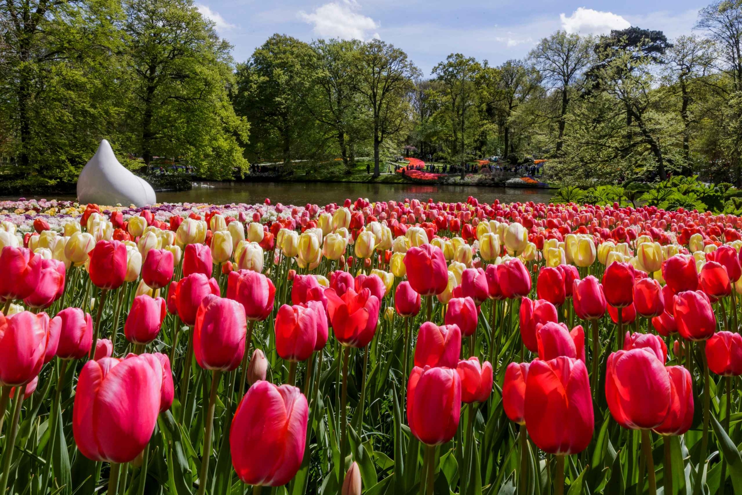 Amsterdam: Biglietto Keukenhof con bus navetta + crociera sul canale