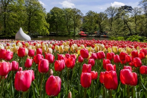Amsterdam: Biglietto Keukenhof con bus navetta + crociera sul canale