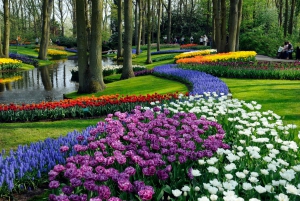 Amsterdam: Biglietto Keukenhof con bus navetta + crociera sul canale
