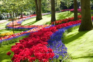 Amsterdam: Biglietto Keukenhof con bus navetta + crociera sul canale