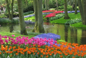 Amsterdam: Biglietto Keukenhof con bus navetta + crociera sul canale