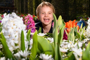 Amsterdam: Biglietto Keukenhof con bus navetta + crociera sul canale