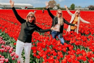 Amsterdam: Keukenhof, Tulip Farm Full-Day Tour with Cruise